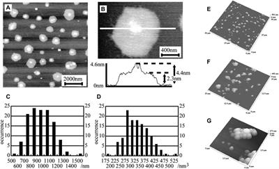 Biosensing, Characterization of Biosensors, and Improved Drug Delivery Approaches Using Atomic Force Microscopy: A Review